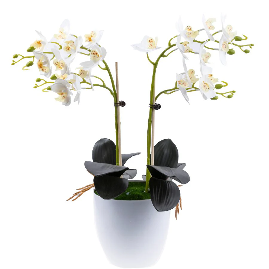 "Blossom" Forever Flowerz Orchid Collection x2 - Image 2
