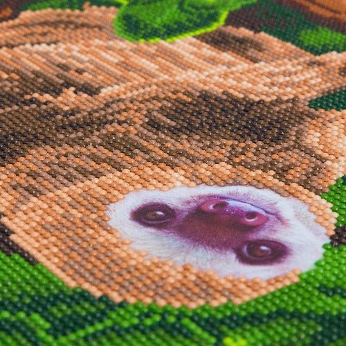 "Two Toed Sloth" Crystal Art Canvas Kit 30x30cm - Image 3