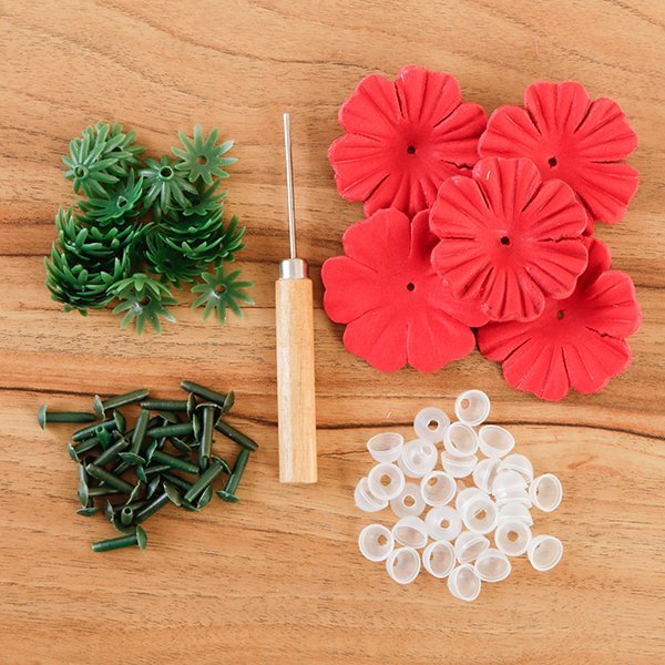 "Brilliant Begonias" Forever Flowerz Starter Kit approx 30 Flowers - Image 3