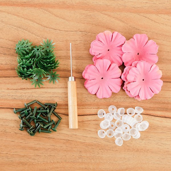 "Brilliant Begonias" Forever Flowerz Starter Kit approx 30 Flowers - Image 4