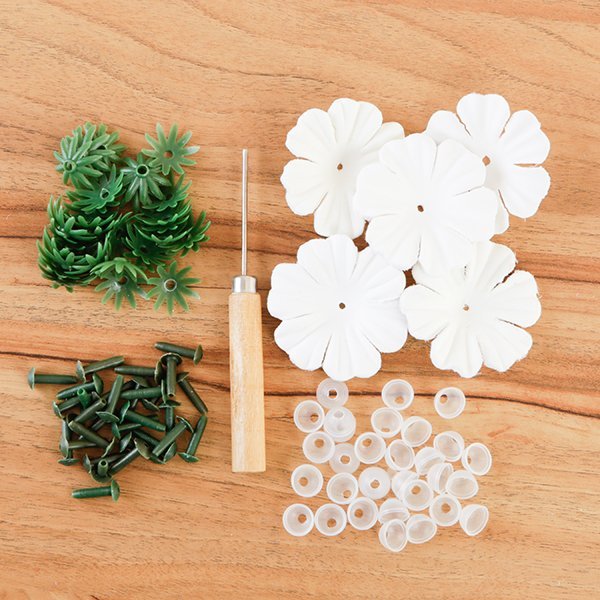 "Brilliant Begonias" Forever Flowerz Starter Kit approx 30 Flowers - Image 7