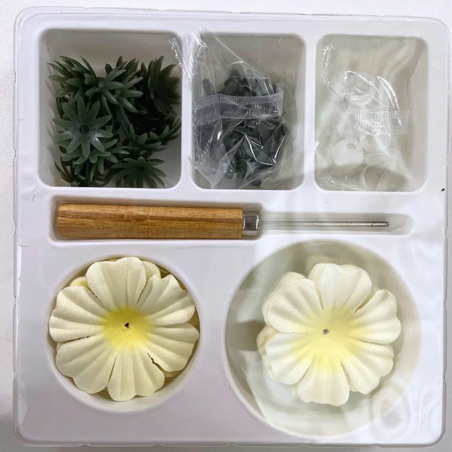 "Brilliant Begonias" Forever Flowerz Starter Kit approx 30 Flowers - Image 9
