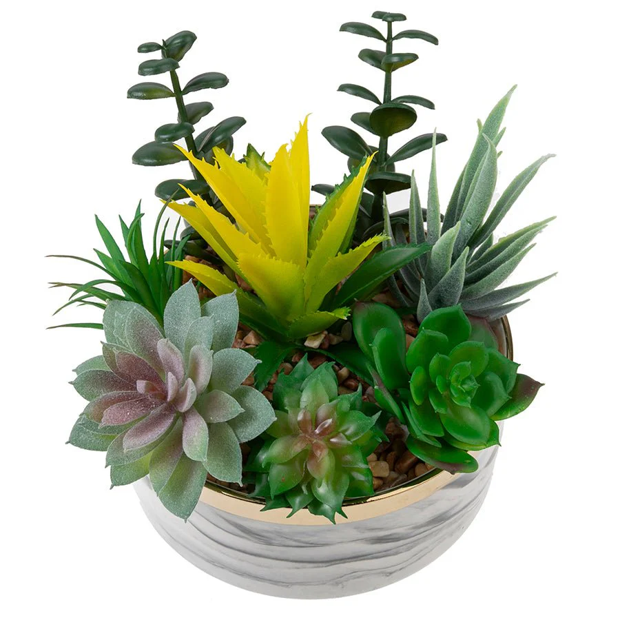 Forever Flowerz Ceramic pot and Succulents Kit - Image 3