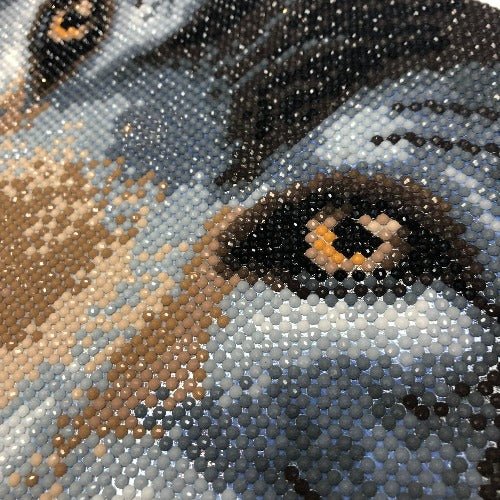 "Wolf" Crystal Art Canvas Kit 30x30cm - Image 3